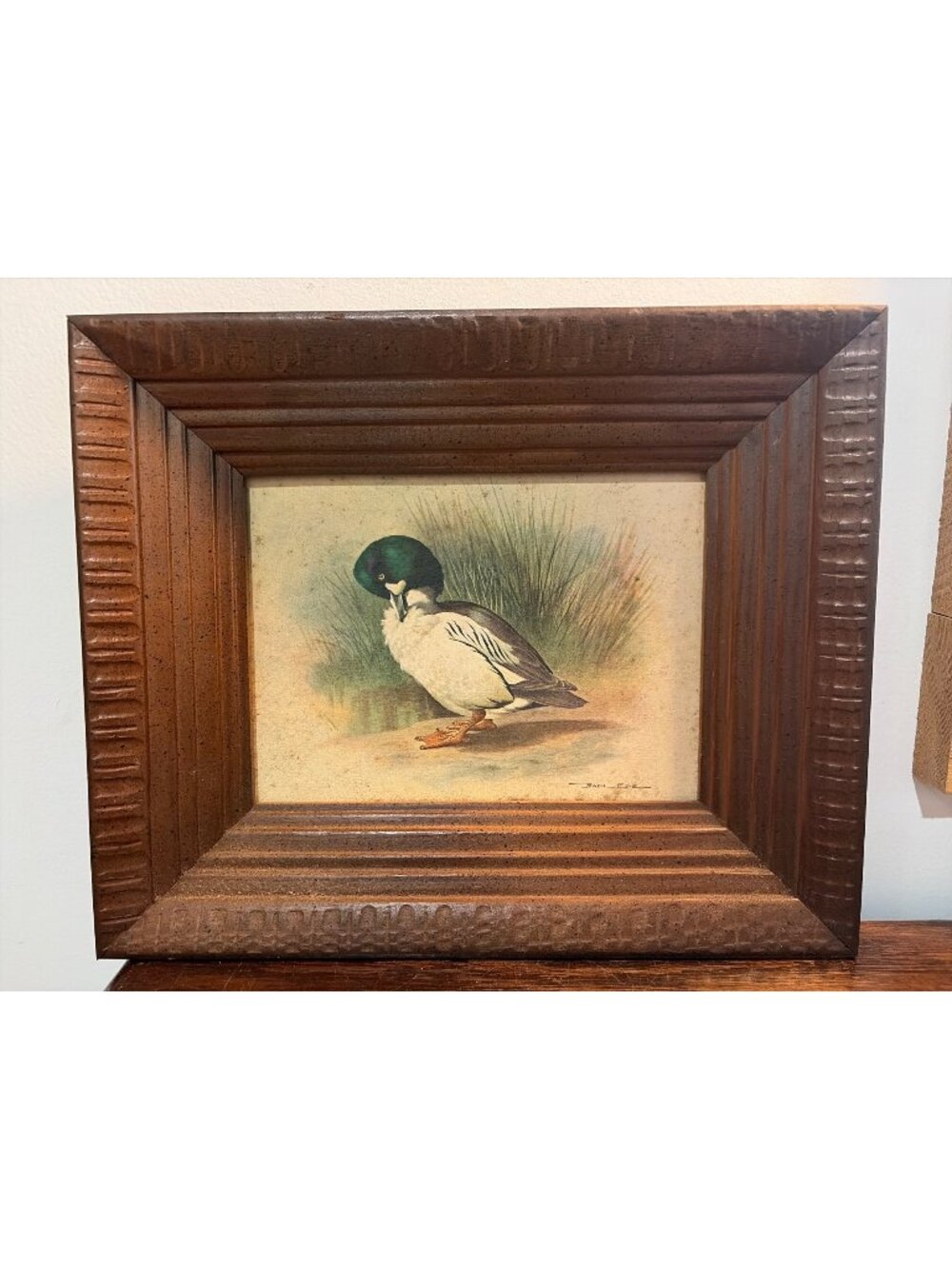 Vintage Framed Duck Print By Basil Ede In Rustic Wooden Frame 12x10 READ!